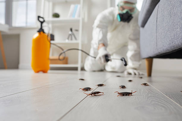 Commercial Kitchen Cockroach Control in Rushville